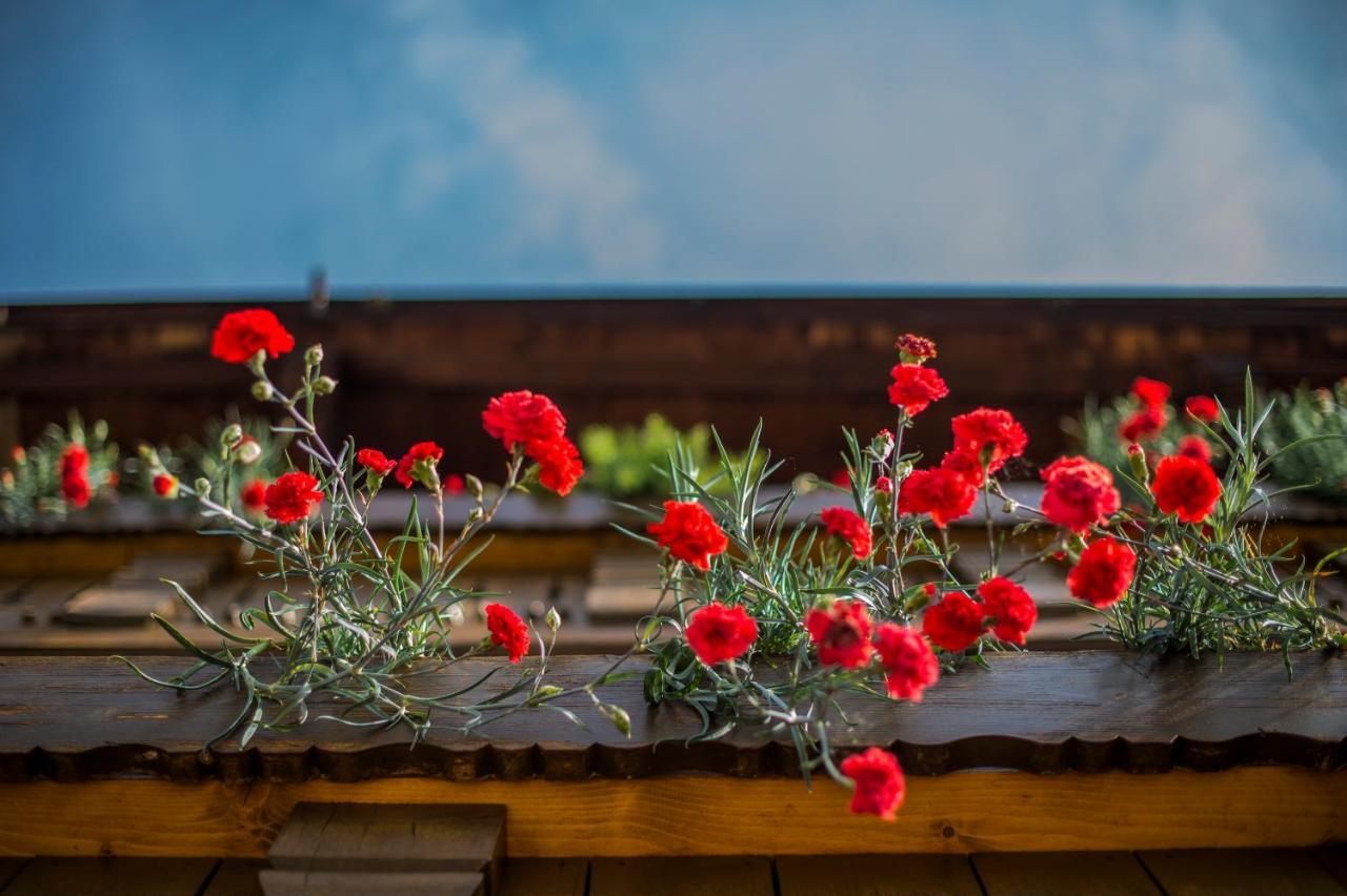 Garni Stubele Bed & Breakfast Tirolo Exterior photo